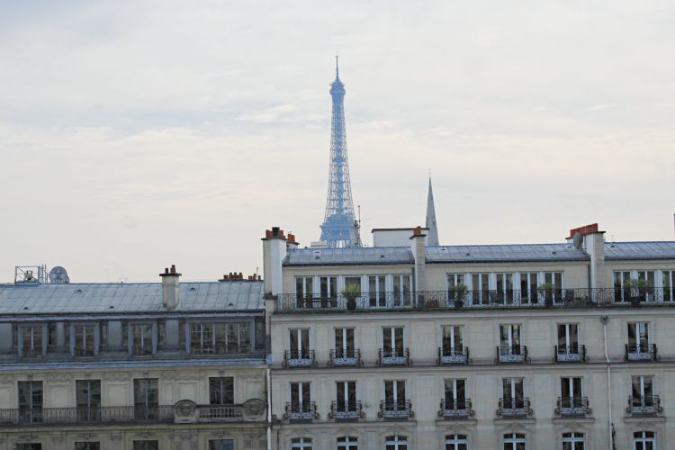 appartement 1 pièce en location sur PARIS (75008)