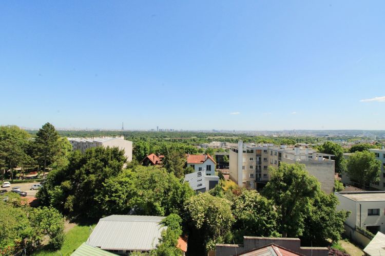 duplex 4 pièces en vente sur SURESNES (92150)
