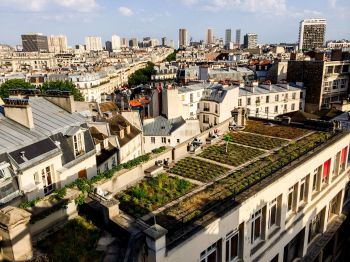 Et si on créait un potager ?